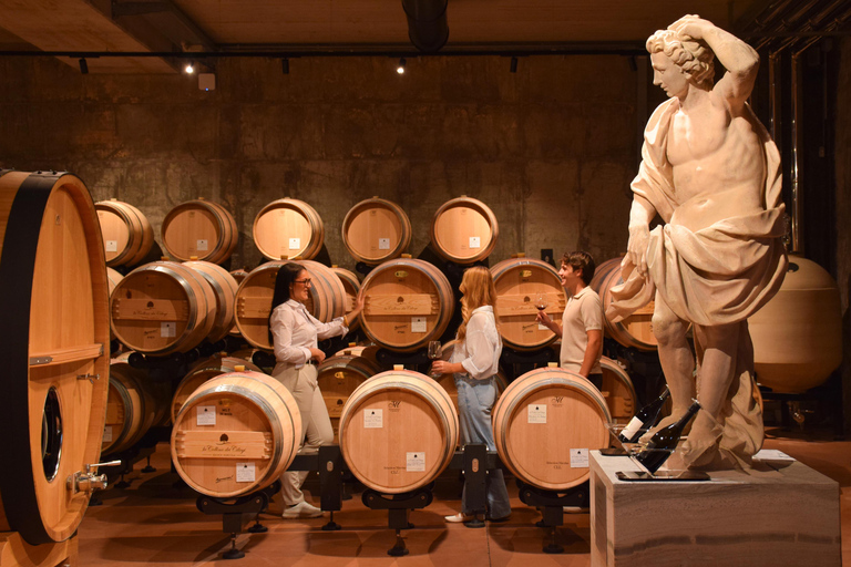 Valpantena: La Collina dei Ciliegi Wine Tasting Experience Collezione Terrena ENG