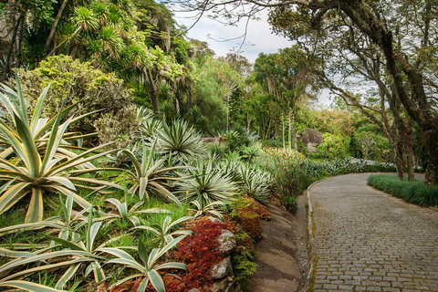 Rio de Janeiro: Sitio Roberto Burle Marx Guidad tur
