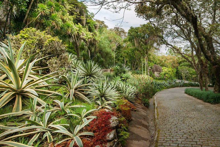 Rio de Janeiro: Sitio Roberto Burle Marx Guidad tur