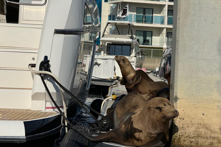 Marina del Rey: Yachts of the Rich and Famous Tour