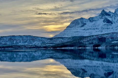 Narvik/Harstad : Excursion d&#039;une journée dans les Fjords avec arrêt à la ferme des rennes