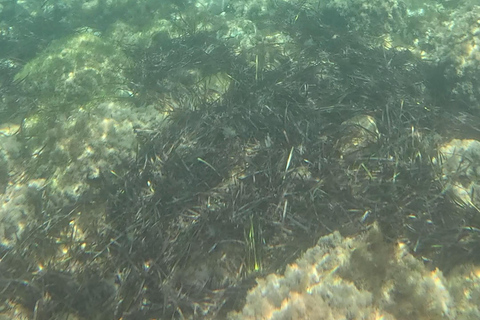 SCALA DEI TURCHI: Rent a KAYAK or Stand Up Paddle for 1 hour [+Snorkeling Kit] SCALA DEI TURCHI 1-hour STAND-UP PADDLEBOARD rental for 1 person