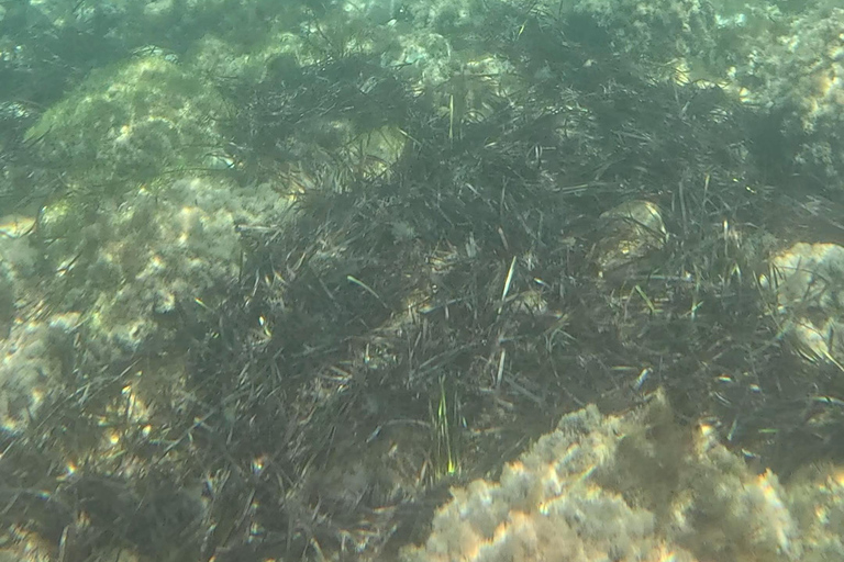 SCALA DEI TURCHI: Rent a KAYAK or Stand Up Paddle for 1 hour [+Snorkeling Kit] SCALA DEI TURCHI 1-hour STAND-UP PADDLEBOARD rental for 1 person