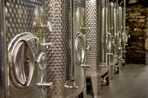 Kröv/Gut Hermes: Wine tour & tasting through the vineyard, winery, & sparkling wine factory Kröv/Gut Hermes: Wine Tour & Tasting Through Vineyard, Winery & Champagne Factory