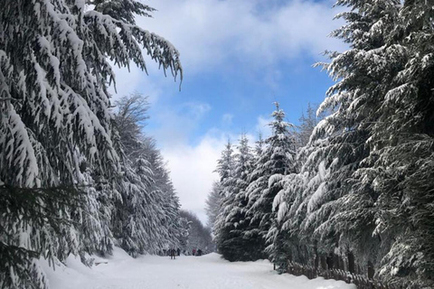 Bariloche Winter Park: Geführte SchneeschuhwanderungBariloche Winter Park: Geführte Schneeschuhwanderungen im Schnee