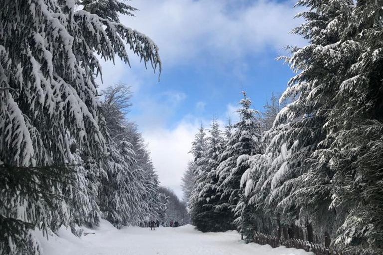 Bariloche Winter Park: Geführte SchneeschuhwanderungBariloche Winter Park: Geführte Schneeschuhwanderungen im Schnee