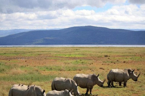 De Nairóbi: Safári de 2 dias no Lago Bogoria e no Lago Nakuru