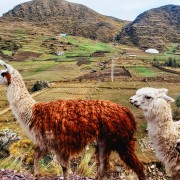 Cuzco: dagtour naar de Regenboogberg