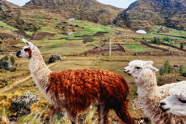 Desde Cuzco: excursión de un día a la montaña ArcoírisDesde Cuzco: excursión a la montaña Arcoíris - compartido