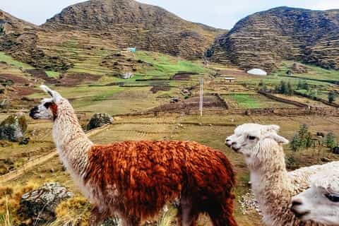 Cusco: Full-Day Tour to Rainbow Mountain
