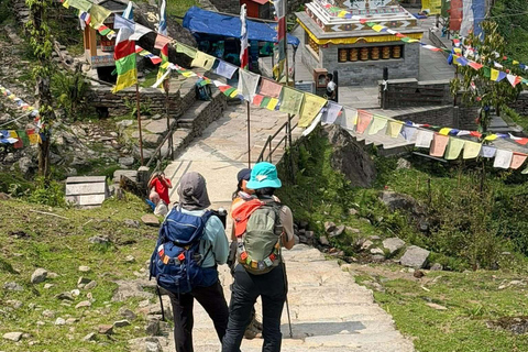 Pokhara: Annapurna base camp Trek with Female Guide