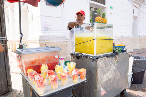 جولة طعام ومدينة سانتا مارتاجولة طعام