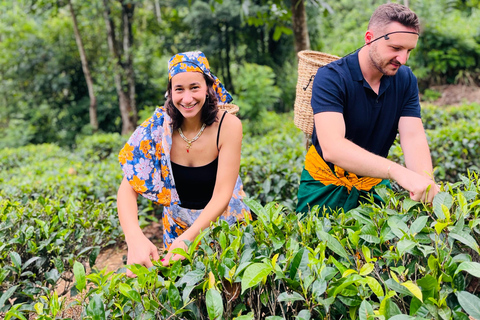 From Kandy: Private Day Trip to Ella with Train Ride