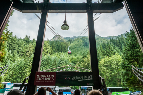 Depuis Vancouver : Grouse Mountain et pont suspendu de Capilano