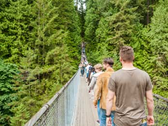 Vancouver: Tagestour in die Natur und über die Hängebrücke Vancouver: Tagestour in die Natur und über die Hängebrücke