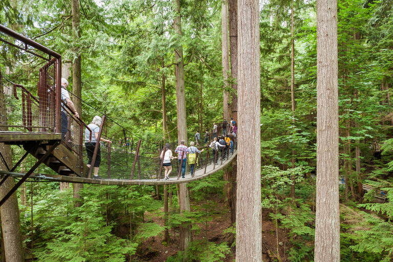 Von Vancouver aus: Grouse Mountain und Capilano-Hängebrücke