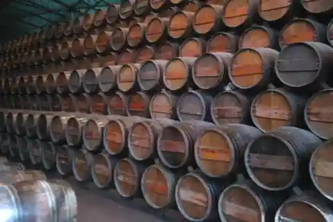 Historia del Vino Portugués y Paisaje Asombroso