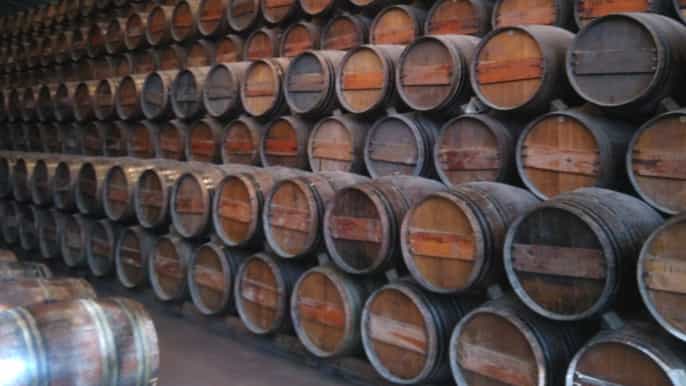 história do vinho portuguesa e passeio surpreendente dos ambientes