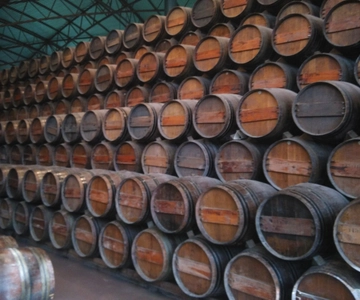 Portuguese Wine History & Amazing Landscape