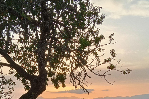 Mallorca: Randa Romantischer Ausritt bei Sonnenuntergang mit Getränken