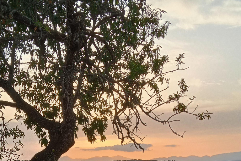 Mallorca: Randa Romantischer Ausritt bei Sonnenuntergang mit Getränken