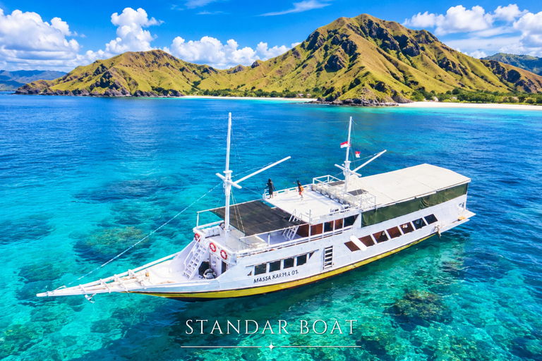 Labuan Bajo: 5-Day Komodo to Gili Trawangan Whale Shark Tour Standart Boat | Sharing Deck | No WHALE SHARK