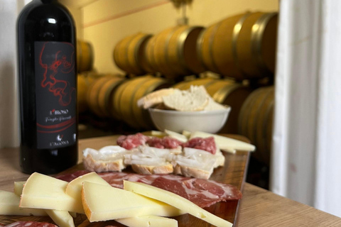 Pisa: Winery Tour and Wine Tasting with Local Food Pairing