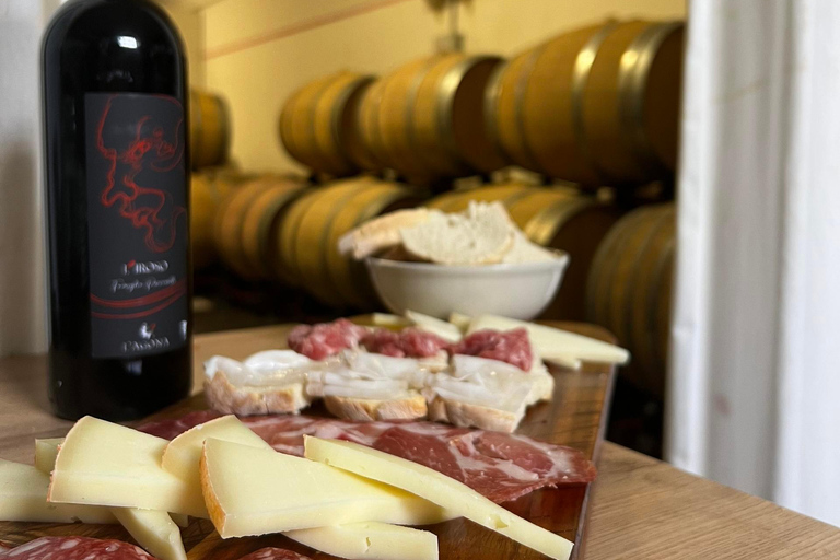 Pisa: Winery Tour and Wine Tasting with Local Food Pairing