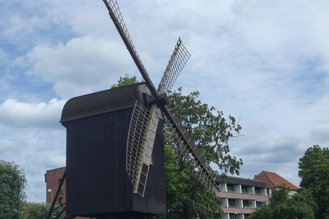 Le meilleur d&#039;Aarhus : Visite à pied privée avec un habitant de la villeVisite privée à pied de la ville - 2Hr