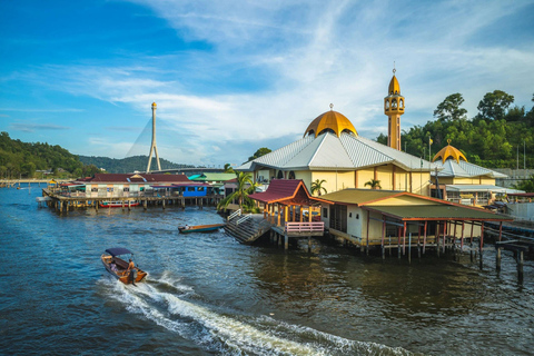 Bandar Seri Begawan: Guided City Tour with Water Village
