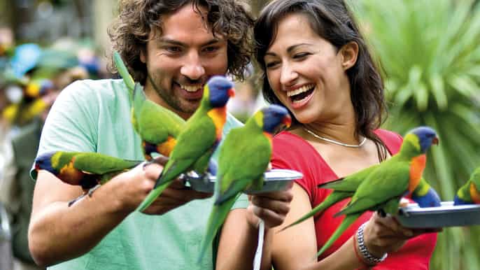 currumbin wildlife sanctuary ticket