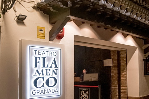 Granada: Flamenco Dance Class for Beginners at the Flamenco Theater Granada: Flamenco Dance Class for Beginners at Teatro Flamenco