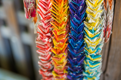 Old and Nostalgic Tokyo: Half-Day Yanaka Walking Tour