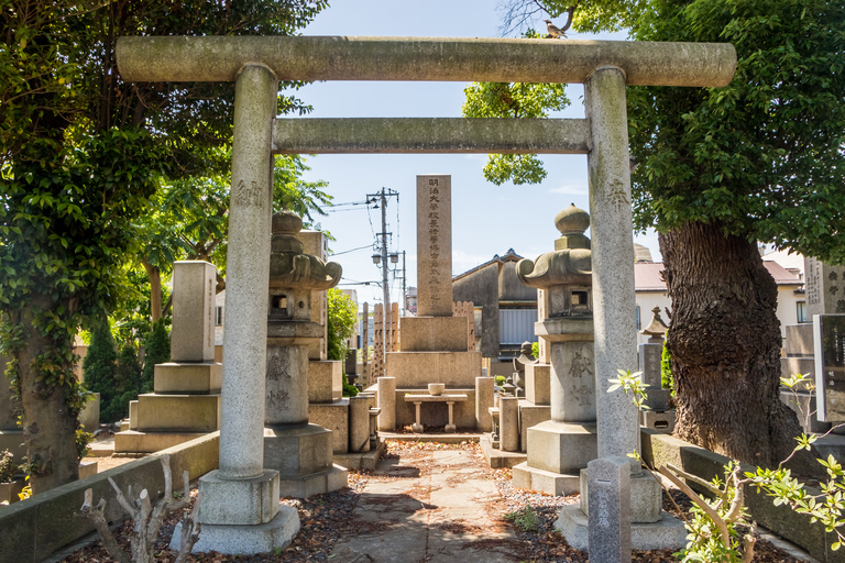 Old and Nostalgic Tokyo: Half-Day Yanaka Walking Tour