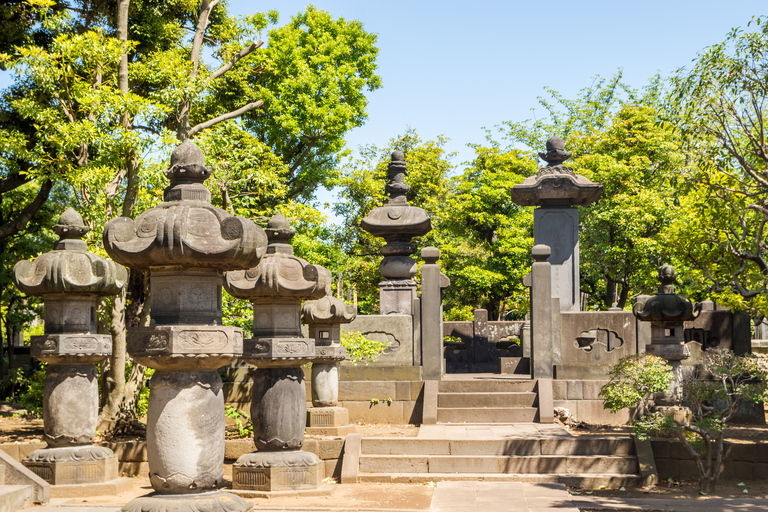 Old and Nostalgic Tokyo: Half-Day Yanaka Walking Tour