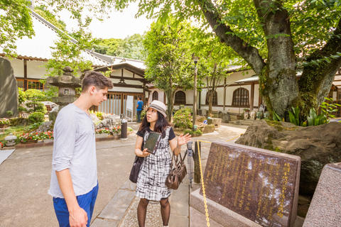 Old and Nostalgic Tokyo: Half-Day Yanaka Walking Tour