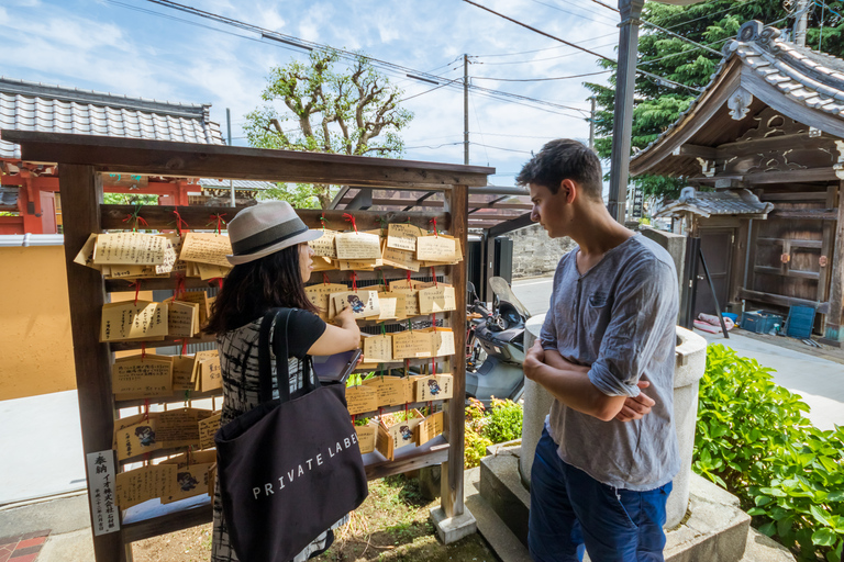 Old and Nostalgic Tokyo: Half-Day Yanaka Walking Tour