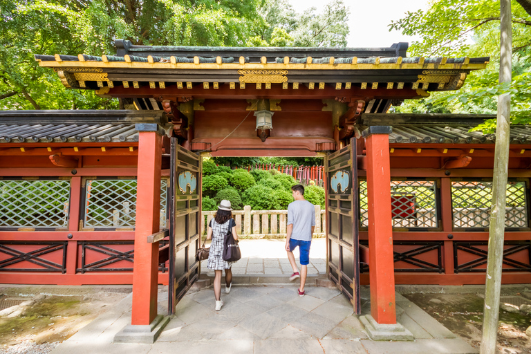 Old and Nostalgic Tokyo: Half-Day Yanaka Walking Tour