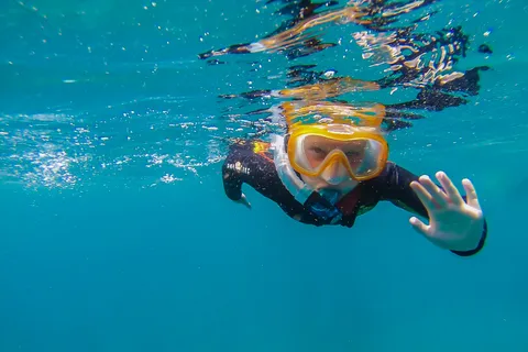 South Tenerife: Guided Snorkeling