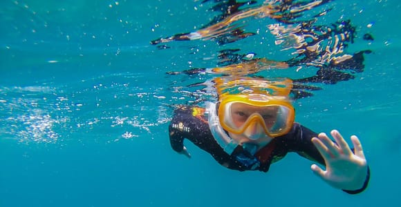 South Tenerife: Guided Snorkeling