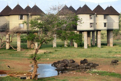 Safari de 3 días a Saltlick y Tsavo West desde Mombasa/Diani