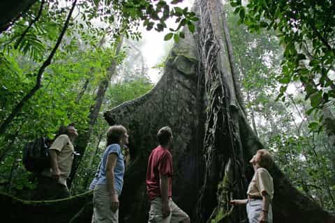 from san jose rainforest adventure atlantic trekking tour