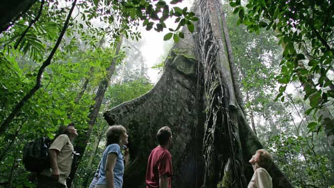 from san jose rainforest adventure atlantic trekking tour