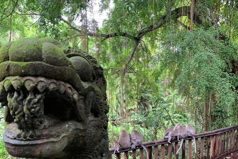 Bali: Ayung River Rafting with Ubud Tour and Lunch