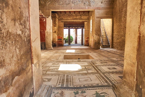 Tour del Vesuvio e di Pompei: Un viaggio nella storia e nella natura antica