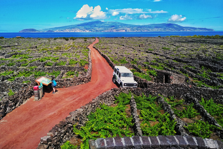 Full Day Wine & Food Tour - Pico Island