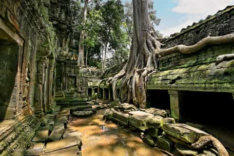 Angkor Temple & Tonle Sap Lake Intimate Guided Tour