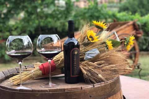 San Gimignano: Private Weingut-Tour mit Wein- & Ölverkostung