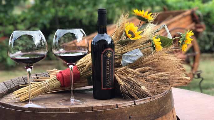 san gimignano private winery tour wine oil tasting