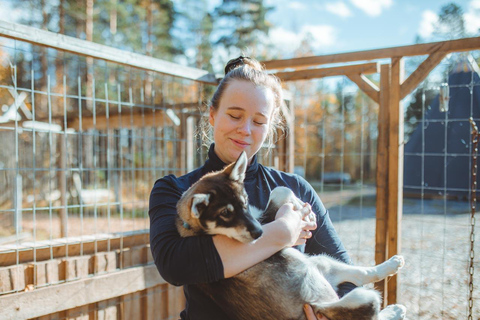 Rovaniemi: Husky Farm Visit